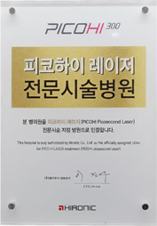 피코하이 300