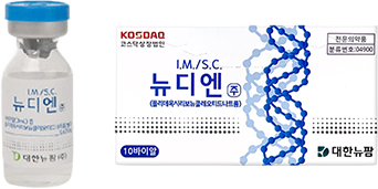 뉴디엔